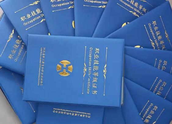 職業(yè)技能等級證書
